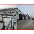 Günstigstes rundes Oval flaches / verzinktes Eisen-Draht / PVC beschichtetes Eisen-Draht / Edelstahl-Draht gebildet in China-Fabrik